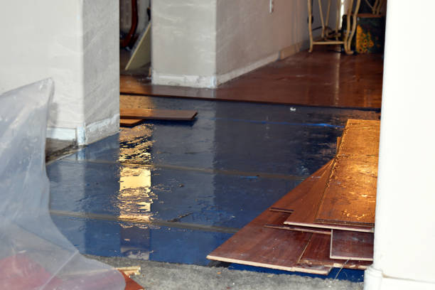Professional Water Damage Restoration technician working in Santa Rosa, TX